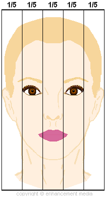 ideal nose diagram front