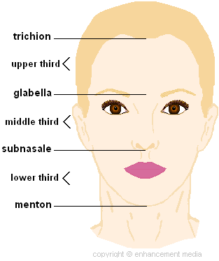 perfect nose diagram front view