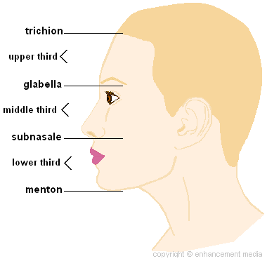 perfect nose diagram side view